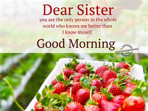 good morning sister quotes|good morning message for a sister.